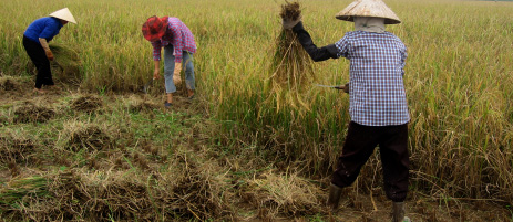 Giới thiệu Liên hoan phim Tài liệu quốc tế lần thứ III tại Việt Nam